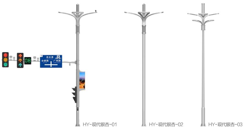 现代银杏